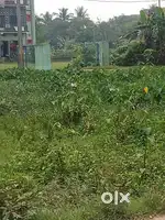 Urgent Sale Plot and Duplex in Baleshwar