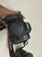 Canon 6D mark 2 with 24-105mm macro lens.
