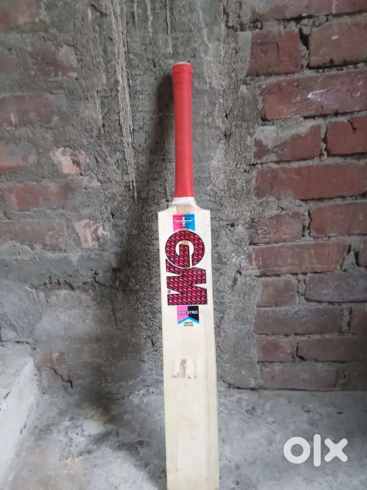 A professional cricket bat almost new kashmir willow