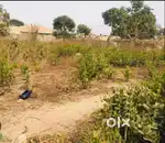 23 bighas land for sale near Khanpur mau.