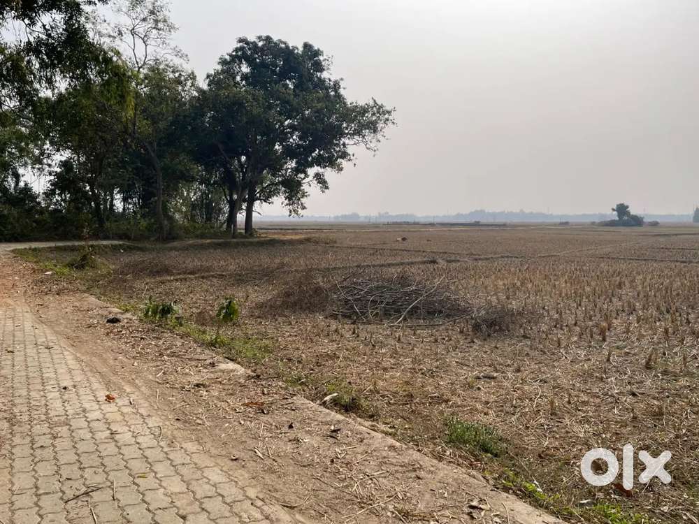 Dekargaon gaon land for sale