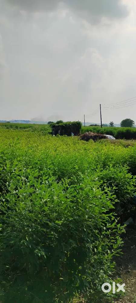 5.25 ACRE  ROAD TOUCH LAND FOR SALE AT KHARANGNA MORANGNA