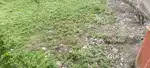 Sell 6 plot selling