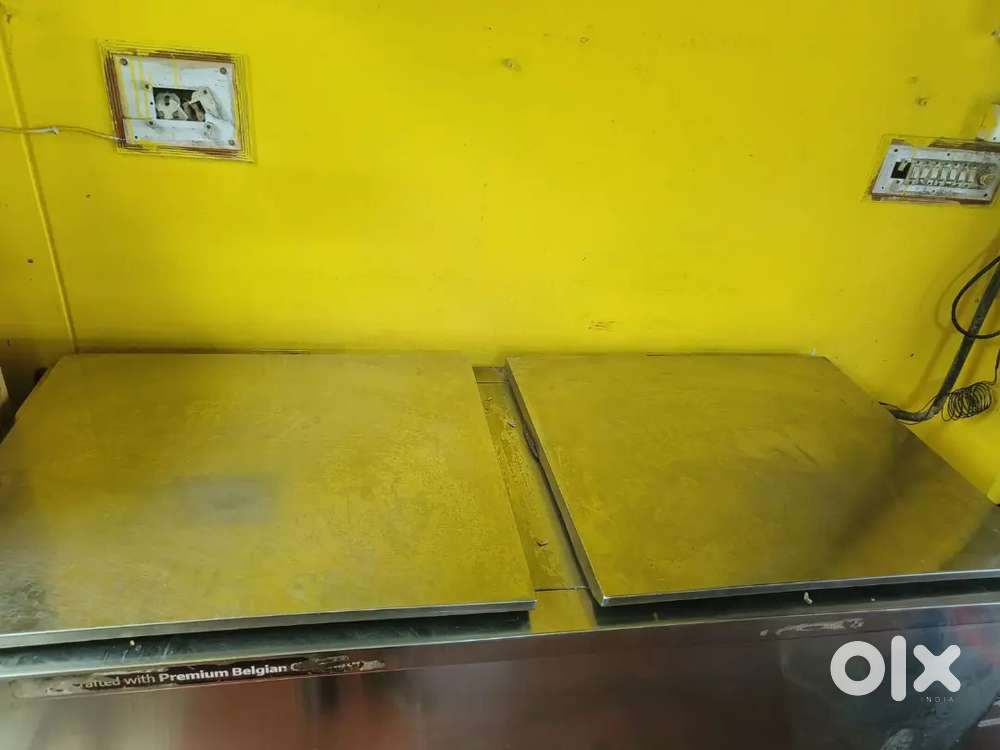 WESTERN 650 L Stell Double Door Standard Deep Freezer