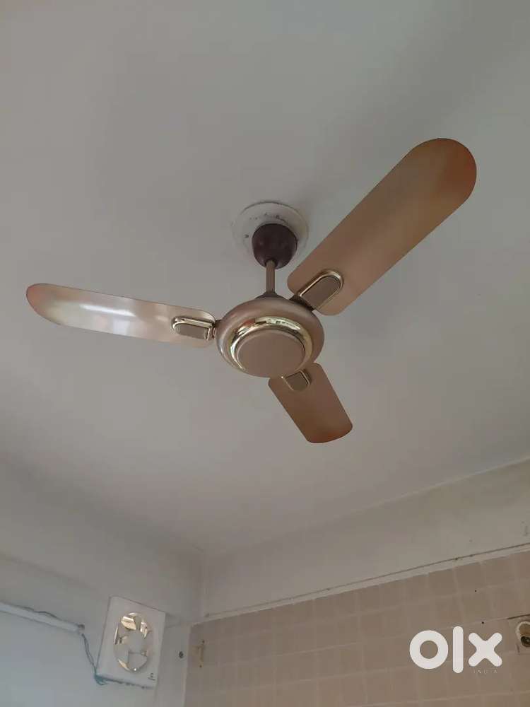 2 Ceiling fans