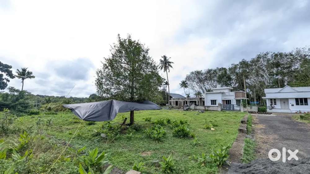 Angamaly Town Budget friendly House plots  loan 90 %