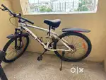 Urban Terrain cycle