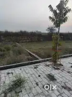 100 gaj ka plot hai pitambara society, Neori