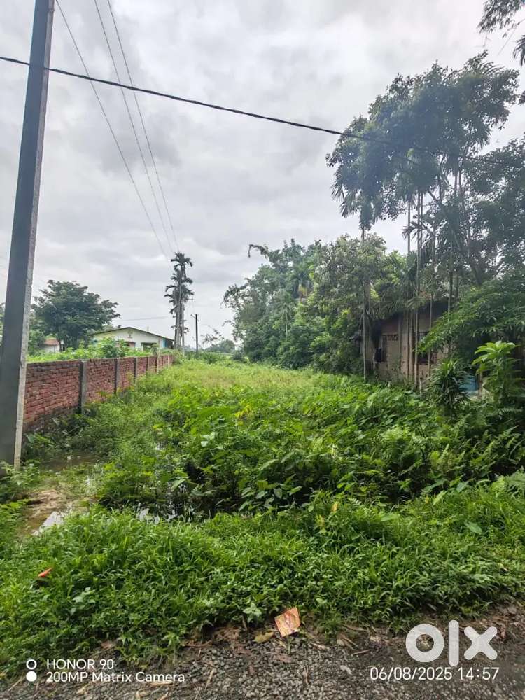 7200 sq feet in lohari kachari  and 1800 sqfeet in anando nagar