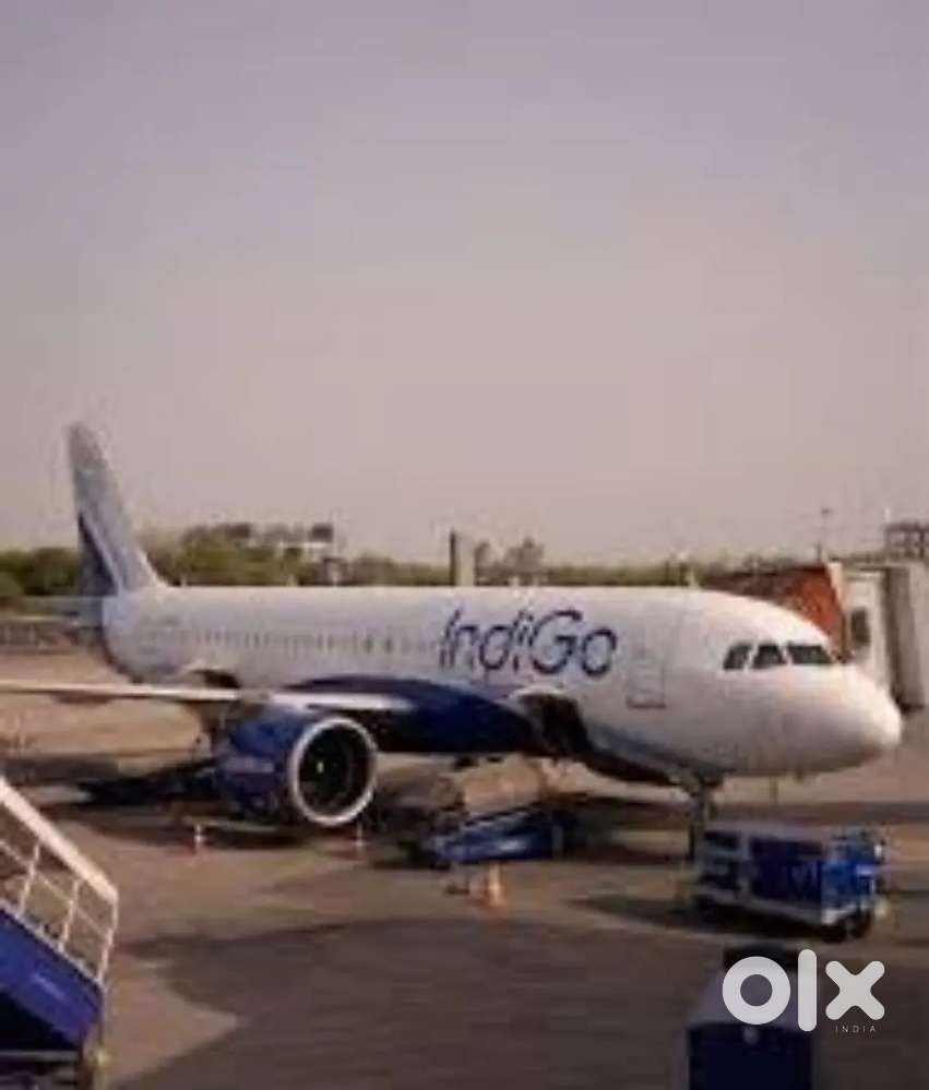 Apply Now Fresher Male, Female Both Candidate Nearest Airport Vacancy