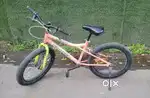 Kross Extreme