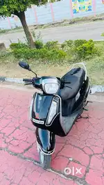 Model 2019