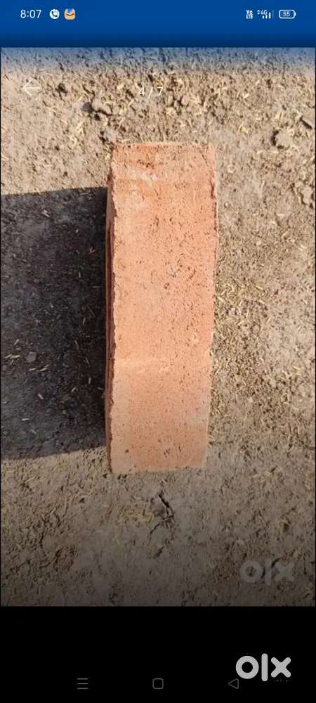 SD/AG Bricks – High Quality Red Clay Bricks  Wholesale & Retail