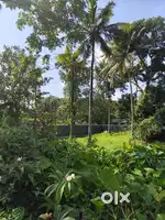 Plot For Sale in Umbernadu, Mavelikara