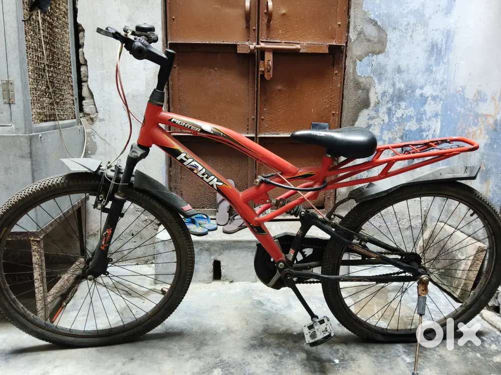 Hawk bicycle