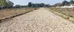 We are providing you your dream project