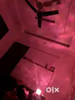 Waves light