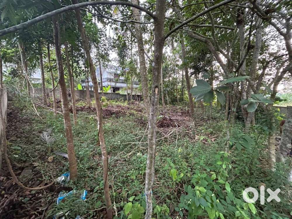 10 cent plot for sale at Powdikonam