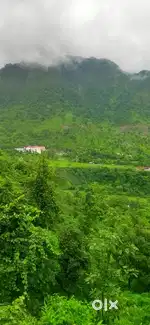 House with land for sale