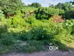 Plot at Raghuvar Nagar on sale