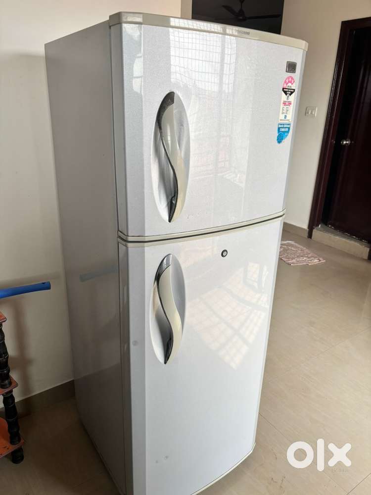 Doublr door fridge