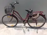 Lady Bird cycle