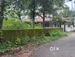 VEMBILLY PALLIKKARA MORAKKALA 21 CENT /  INFOPARK KAKKANAD 8 KM ONLY