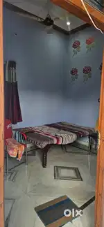 Rent house