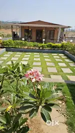 need all rounder cook for resort