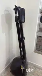Tanpura cover