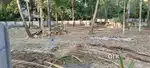 20  cents of residential plot in 2.5 kms from Guruvayoor temple