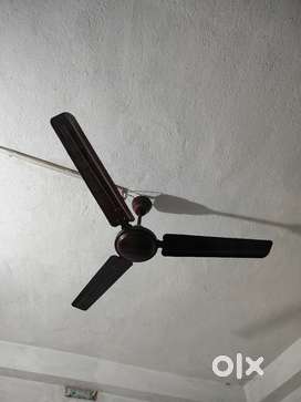 Old Fan USHA Racer(2nos) 1200 mm