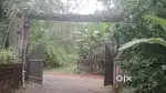 4,5,6, 8, 10, 20 cent plots available angamaly athani vattapparabu