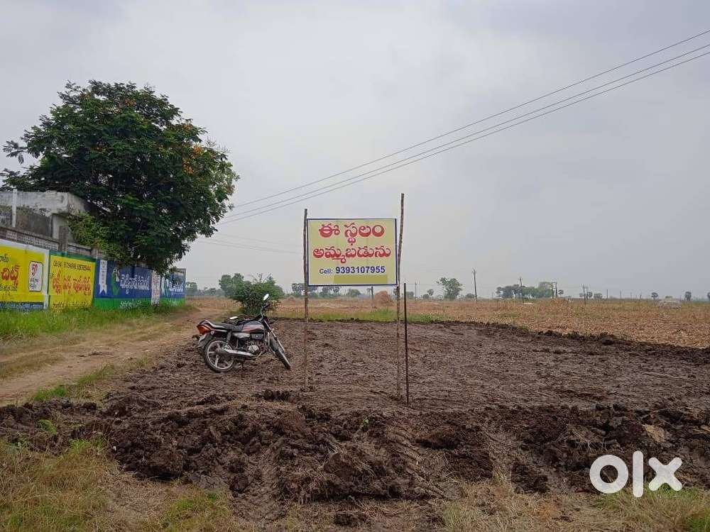 Repalli Site 82km from Amaravathi, 3km from Repalle Town