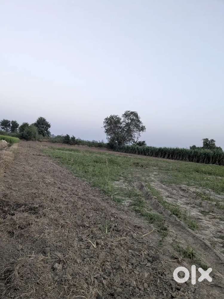Agricultural land for sale 6 bigha near road