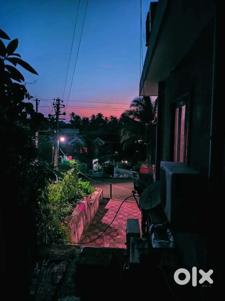 Roommate required