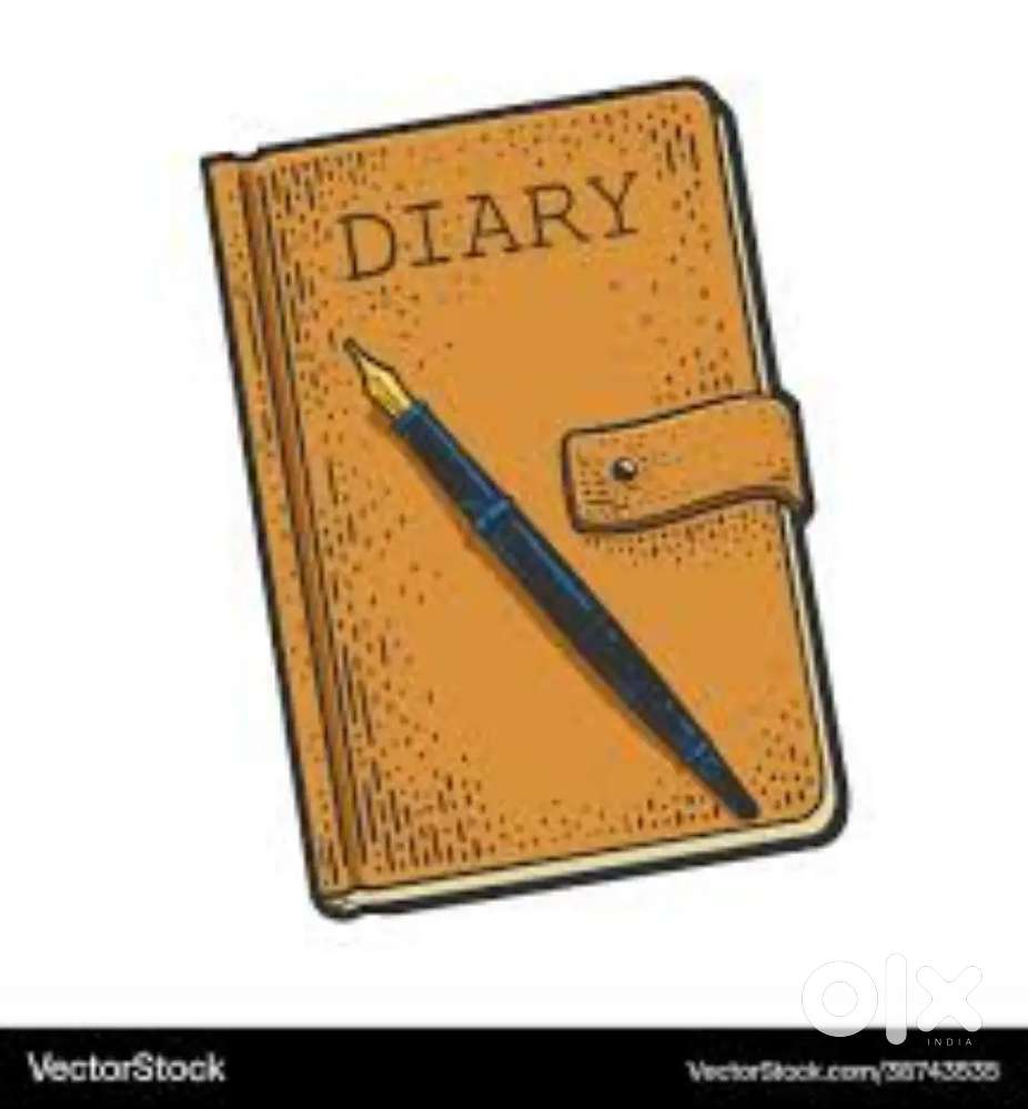 Diary Writer