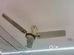 Ceiling Fan