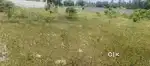 Land for Sale in Vilankurichi.