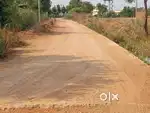 Near Gajwel,18 Guntas Agriculture land for sale,East face