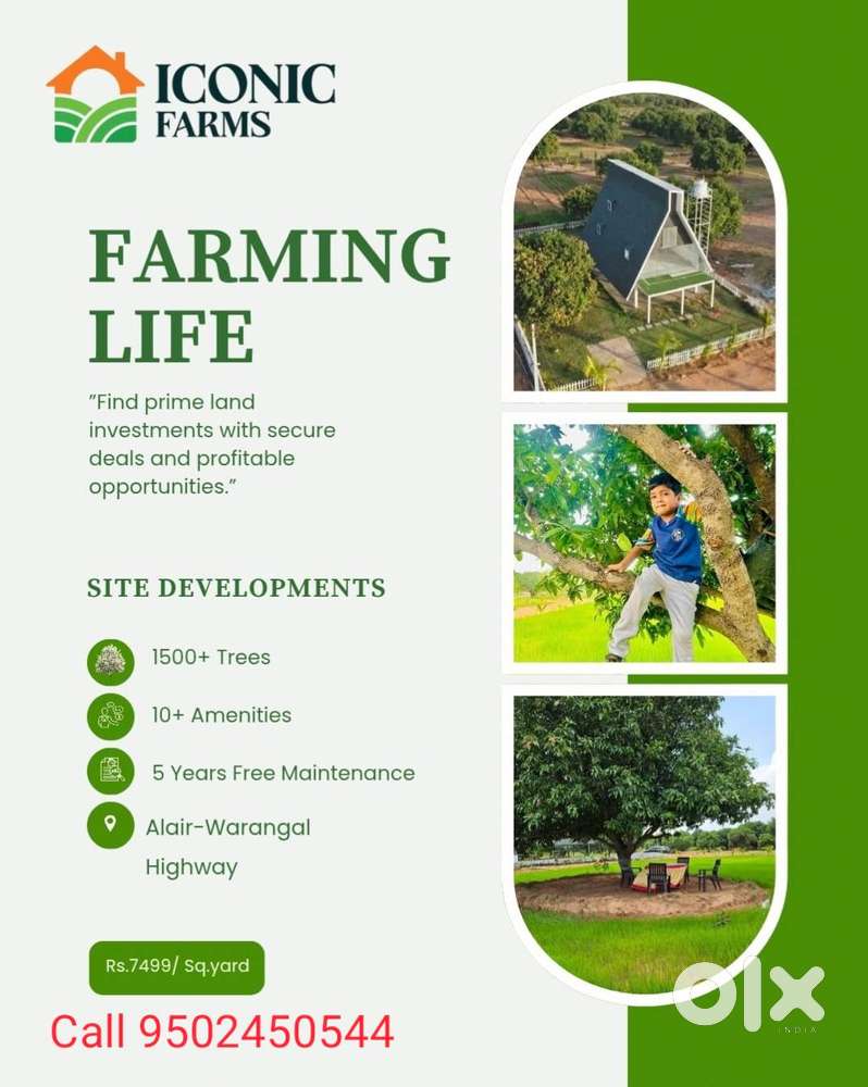 Farm Plots