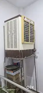 Champion Cooler