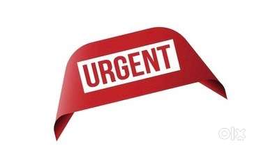 Direct office , Not consultency