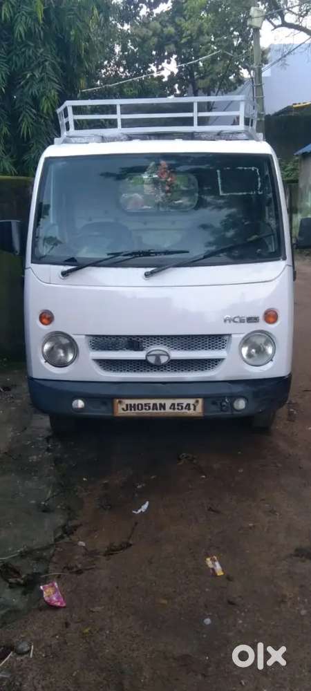 Mango Jamshedpur