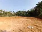 മണർകാട് പളളിക്ക് സമീപം 7 സെൻറ് മുതൽ നിരപ്പായ സ്ഥലം വിൽപ്പനക്ക്