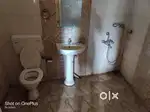 only for bachlors