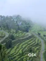 SBI approved Plot / Luxury Villa - Lansdowne, Uttarakhand