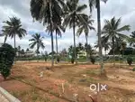 BMRD approved plots for sale ready to construct contact us