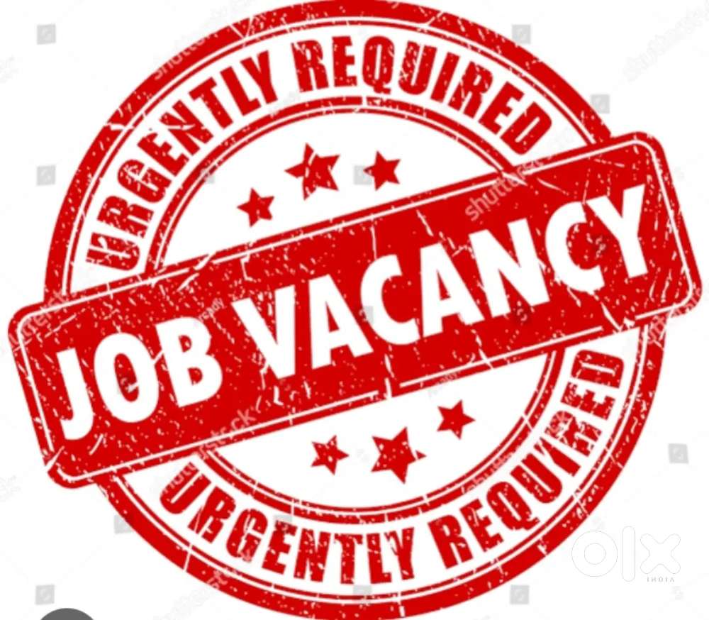 Tellycaller,Accountant,backoffice,receptionist,relationship executive