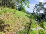 Agriculture/Residential Land Sale in East Othera, Pathanamthitta